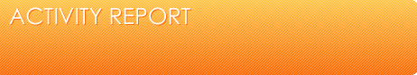 Activity Report