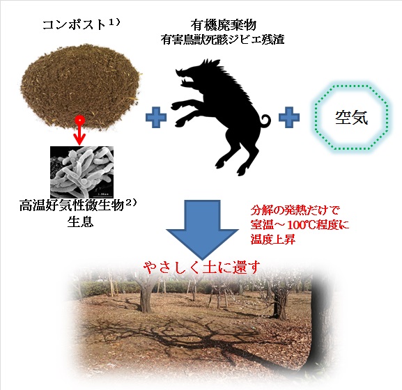 Greenarm 特殊バクテリア